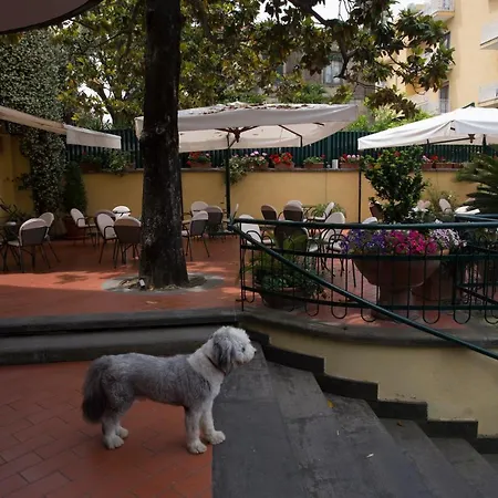 Serena Hotel