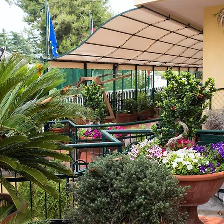 Serena Hotel